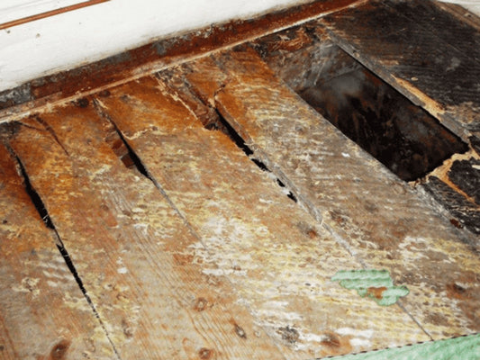 What is Wet Rot and How Do You Treat It?